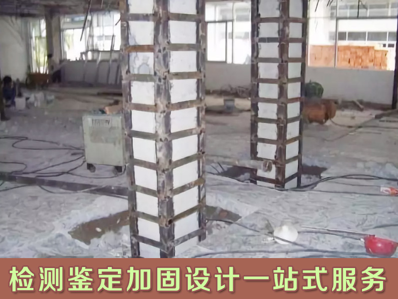 1567518282686379.jpg a24.jpg