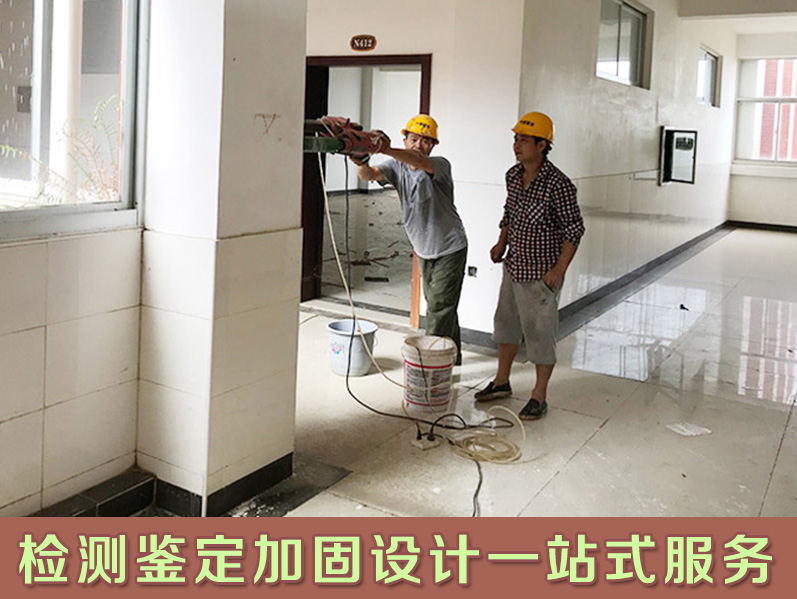 1571921626965722.jpg a13.jpg