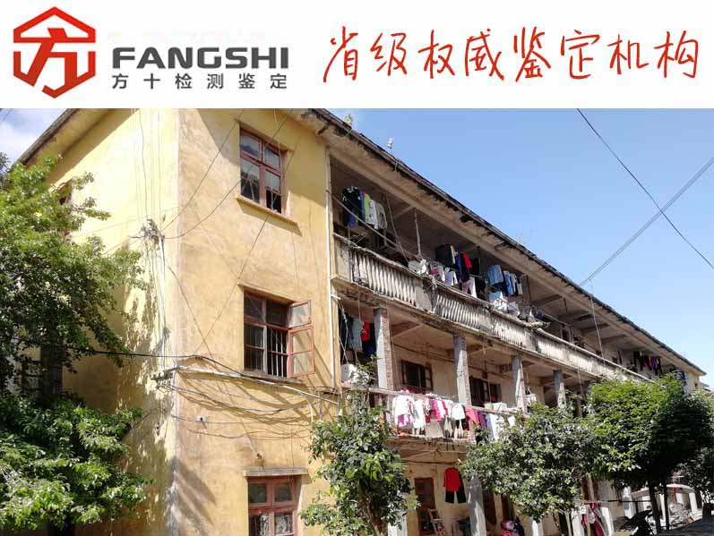 1573539263900302.jpg 50.jpg