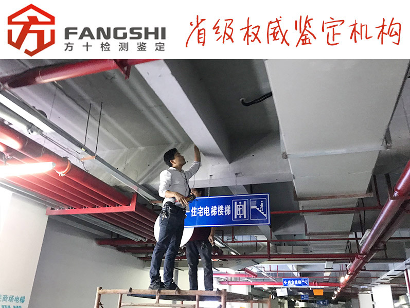 1583217509287301.jpg 13.jpg