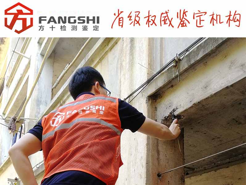 1583305756543470.jpg 47.jpg