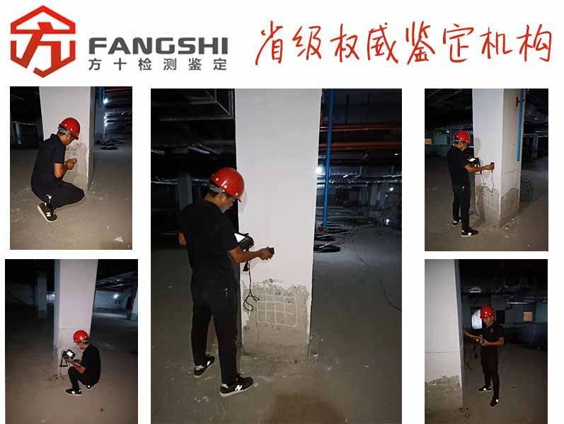 1583307501556792.jpg 68.jpg