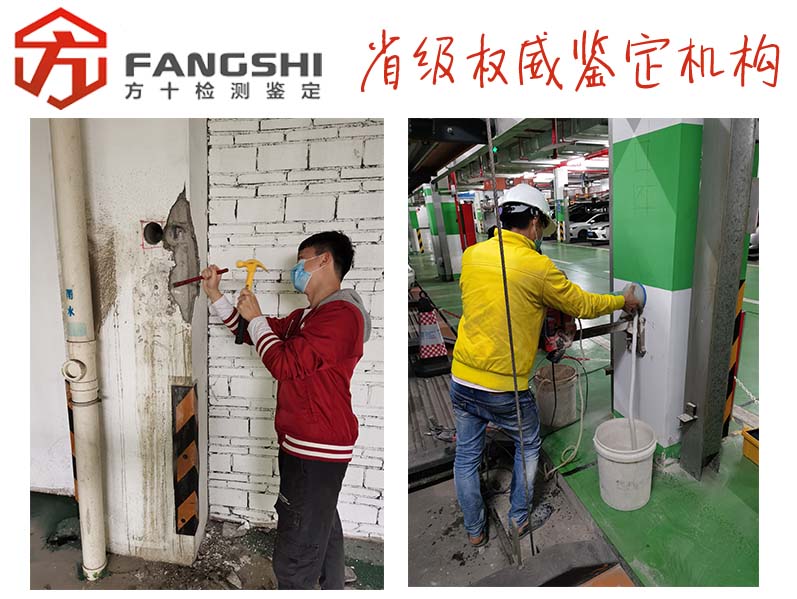 1584674178860203.jpg 88.jpg