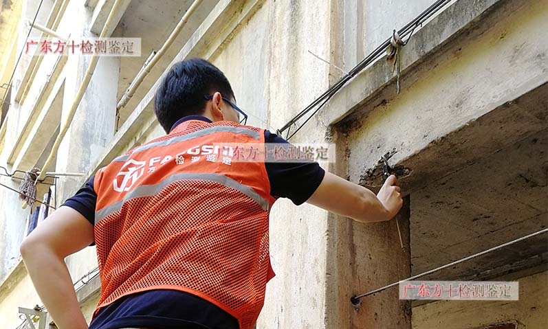 1586846957502893.jpg 52.jpg