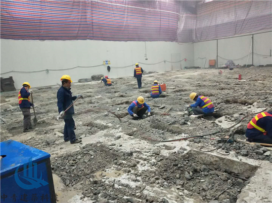 1586944726778411.jpg 5d4516bf-7f49-4778-a9f8-14f7ac5eacaf.jpg