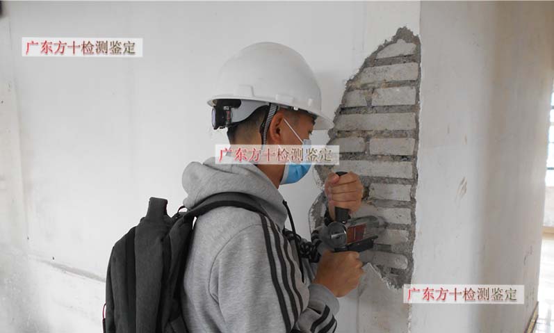 1587367219898848.jpg 21.jpg