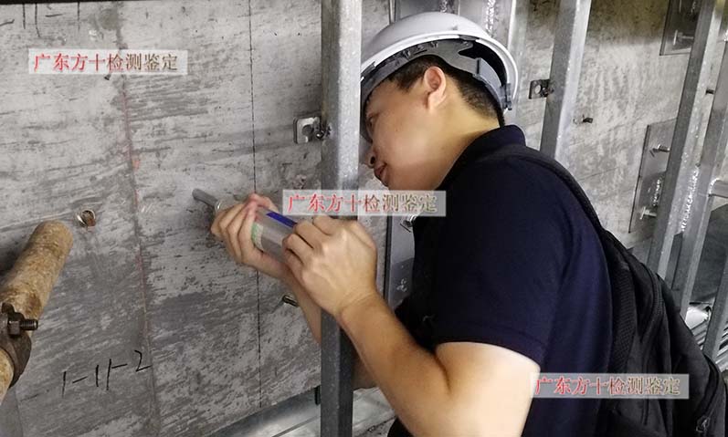 1587454206577957.jpg 48.jpg