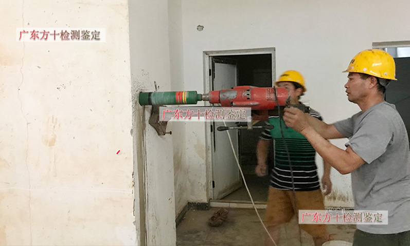 1587456989786816.jpg 69.jpg