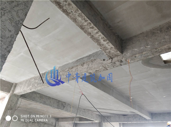 1587882758866853.jpg 微信图片_20190326112611.jpg