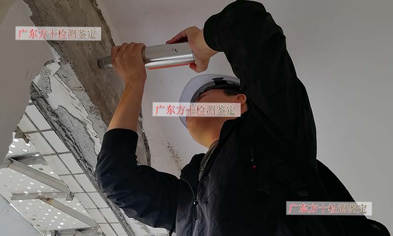 1587885202551377.jpg 102.jpg