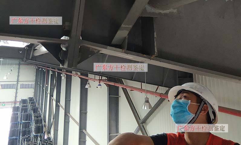 1587889708332030.jpg 113.jpg