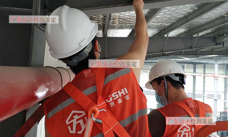 1587975954855035.jpg 96.jpg