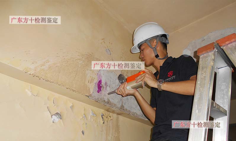 1587979353686618.jpg 14.jpg