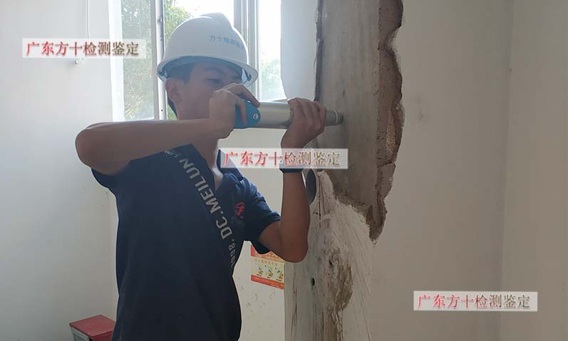 1589336509190158.jpg 29.jpg