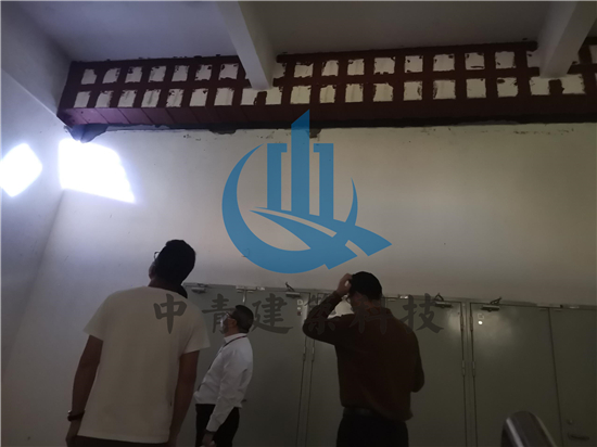 1589958293383903.jpg 67a727c52a684a0c5c15b694c5b7c446.jpg