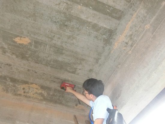 1591164930609940.jpg 5506.JPG