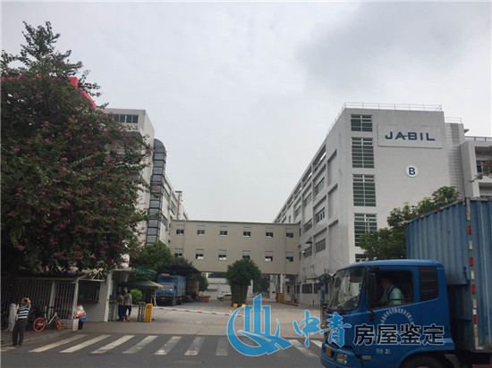 1599447158542590.jpg 806502356030550809.jpg