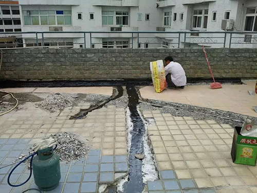 1599696471285430.jpg 20170228184047_167832301.jpg