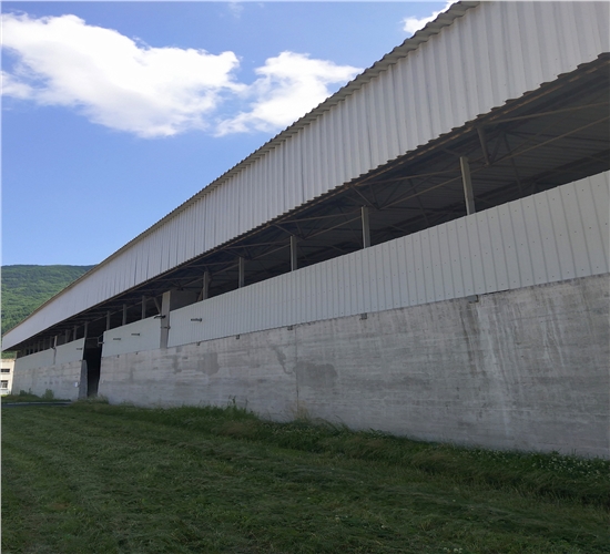 1600760674117353.jpg IMG_20200703_095412.jpg