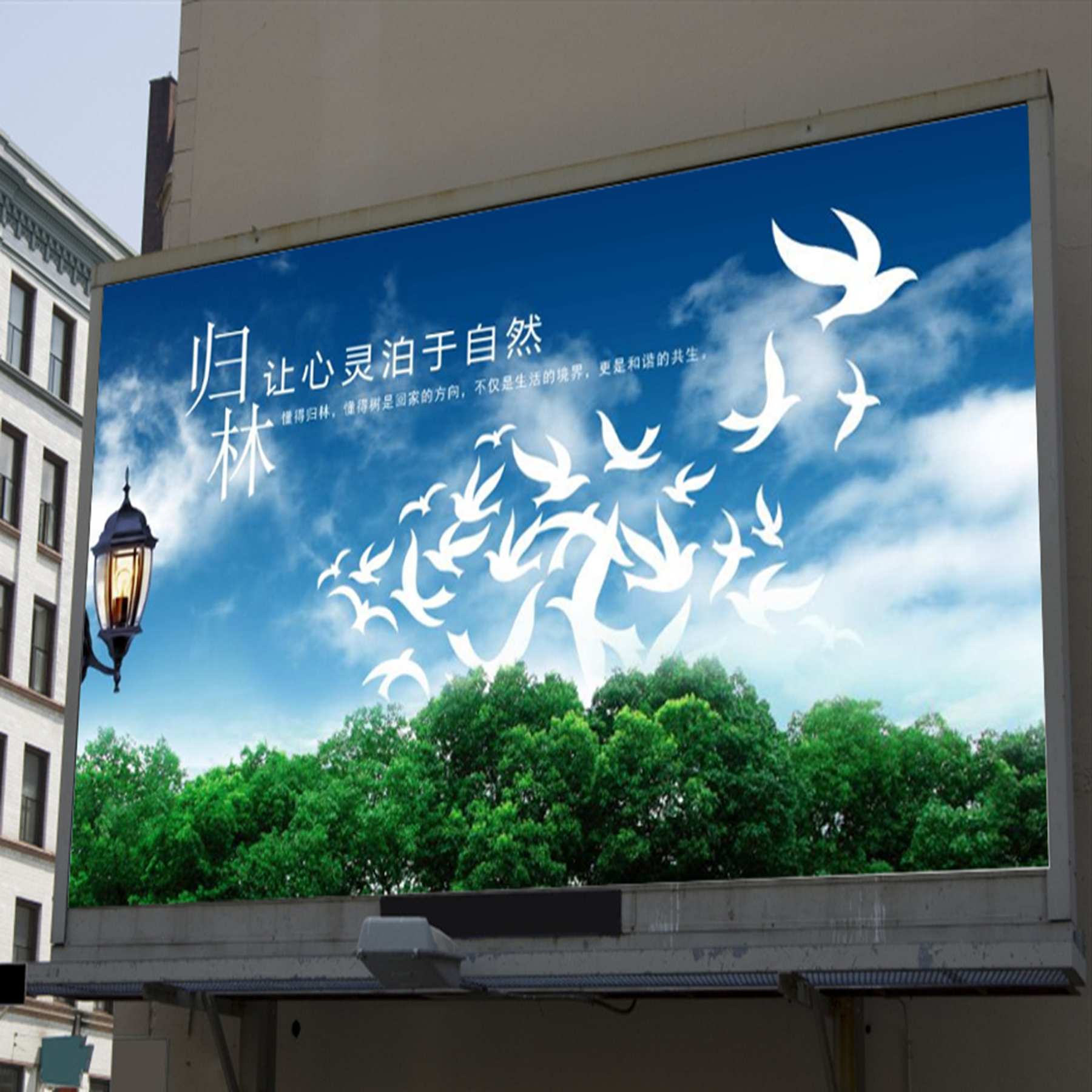 1608788899345367.jpg 201712810575420417.jpg