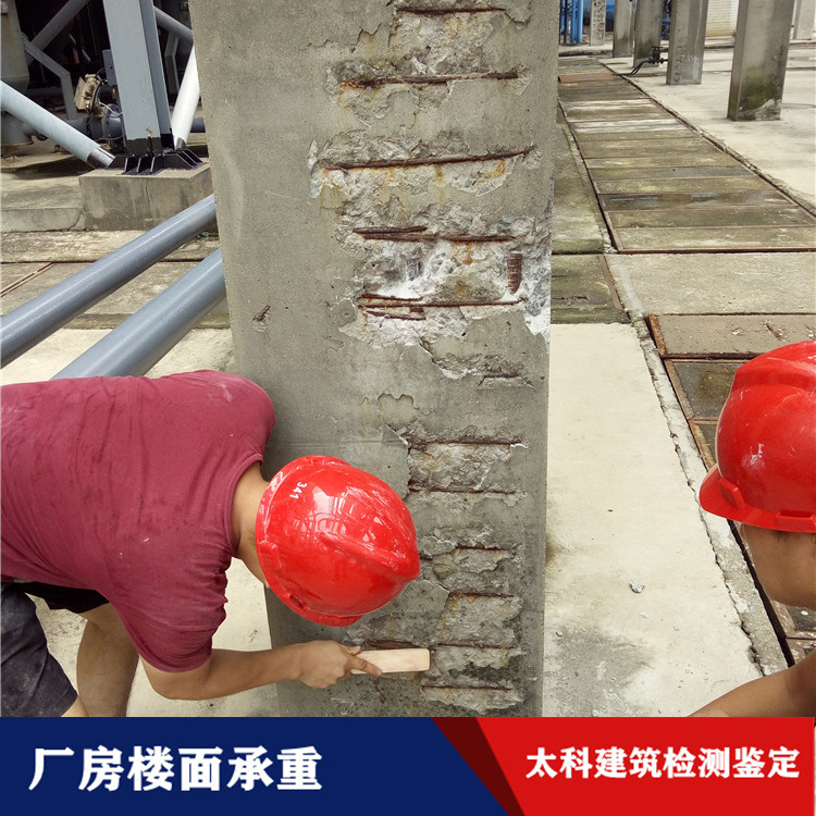 1617006917368027.jpg IMG_20180823_132226.jpg