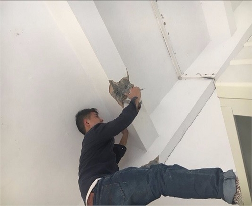 1619682149175683.jpg 152887521167779.jpg