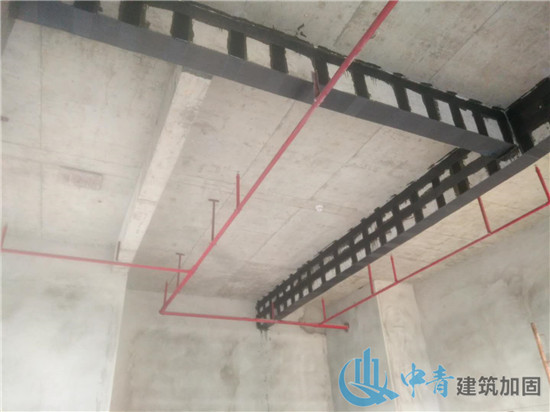9bfe4088-802b-4cc3-b438-70eb818137de.jpg