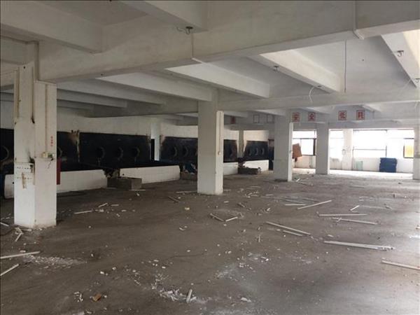 1624887751611672.jpg 636970126847235766.jpg