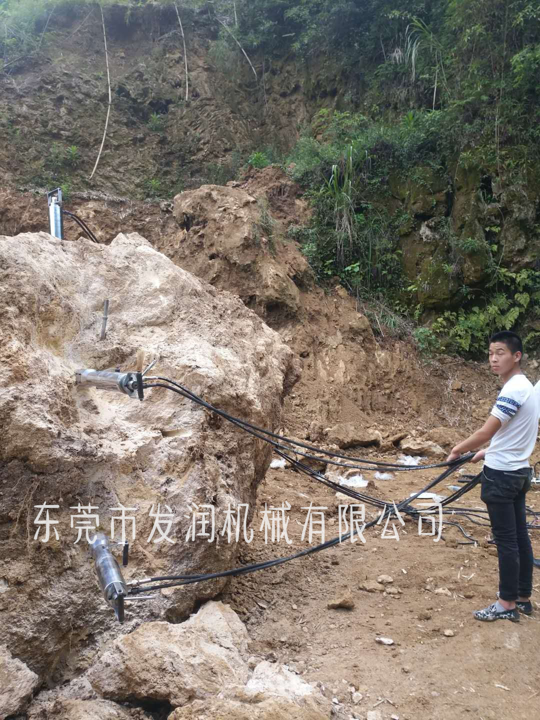 1624952934472466.jpg 微信图片_20180409195911_副本.jpg