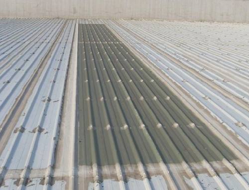 u=2641116299,1215896723&fm=26&gp=0 - 副本.jpg