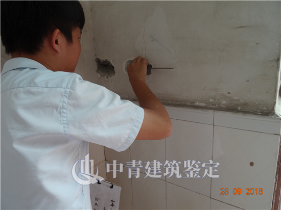 1661323296988833.jpg DSC04977.jpg