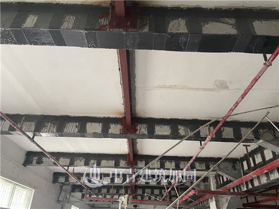 1665973450925109.png ab357fa3-65b6-4003-8f36-332871efee40.png